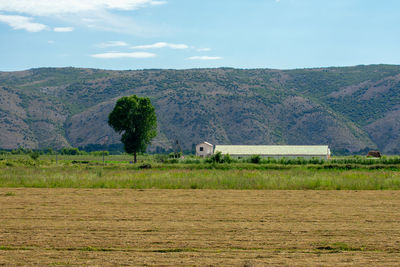 Scenic view of landscape against sky