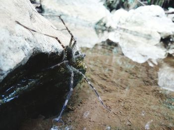 Close-up of rocks