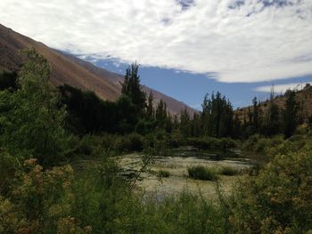 Scenic view of landscape against cloudy sky