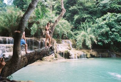 Tourists on tree trunk in park