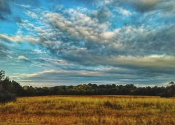 Scenic view of field against sky