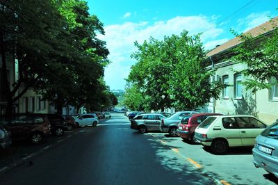 Cars on road by trees against sky in city