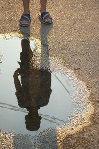 Low section of woman standing in puddle