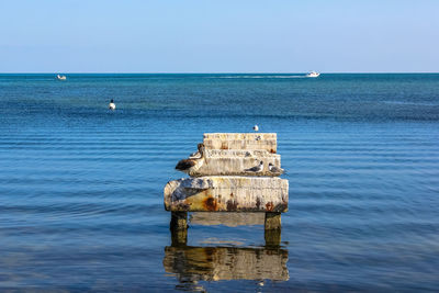 Scenic view of sea against clear sky