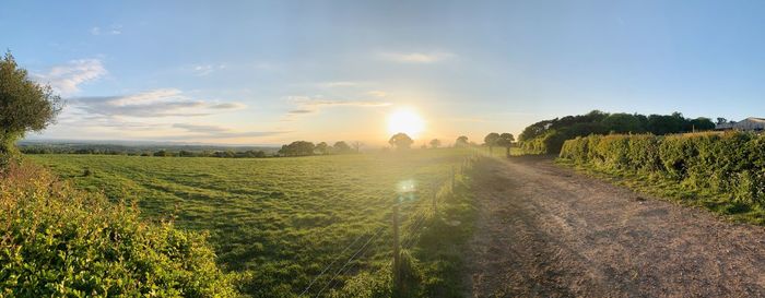 Road amidst field against sky during sunset