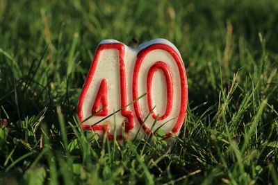 Close-up of red text on grass in field