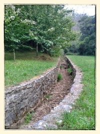 Footpath in park