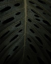 tread