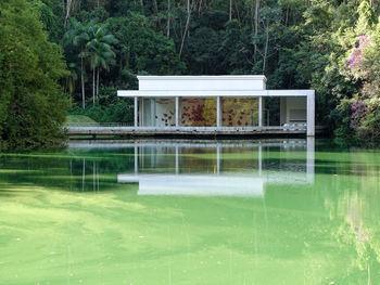 Swimming pool by lake against trees and house