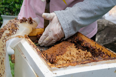 Midsection of person preparing food at market stall