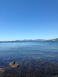 Boats in sea against clear blue sky