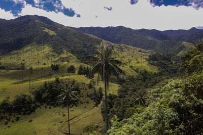environment