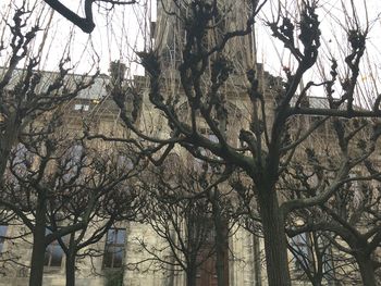 Low angle view of bare trees and building against sky