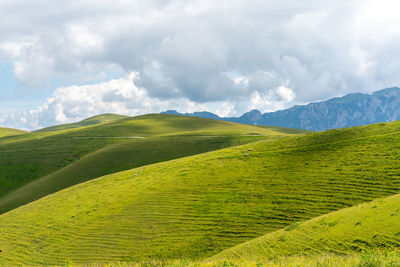 Scenic view of grassy field against sky