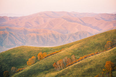 Scenic view of landscape