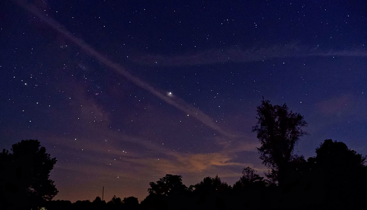 LOW ANGLE VIEW OF SILHOUETTE TREES AGAINST STAR FIELD