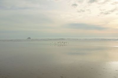 Scenic view of beach against sky during sunset