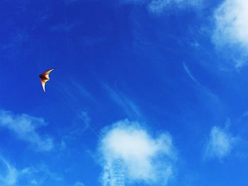 Low angle view of birds flying in sky