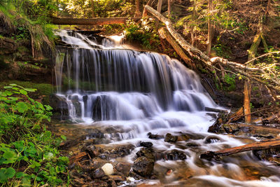 View of waterfall in forest