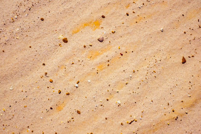 Sand texture background