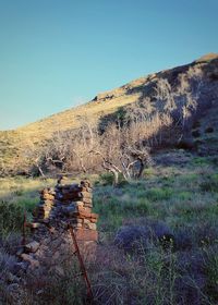 Scenic view of landscape against clear sky