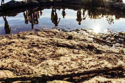 Reflection of trees on beach against sky