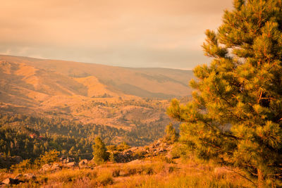 Scenic view of landscape against sky during sunset