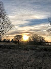 Bare trees on field against sky during sunset