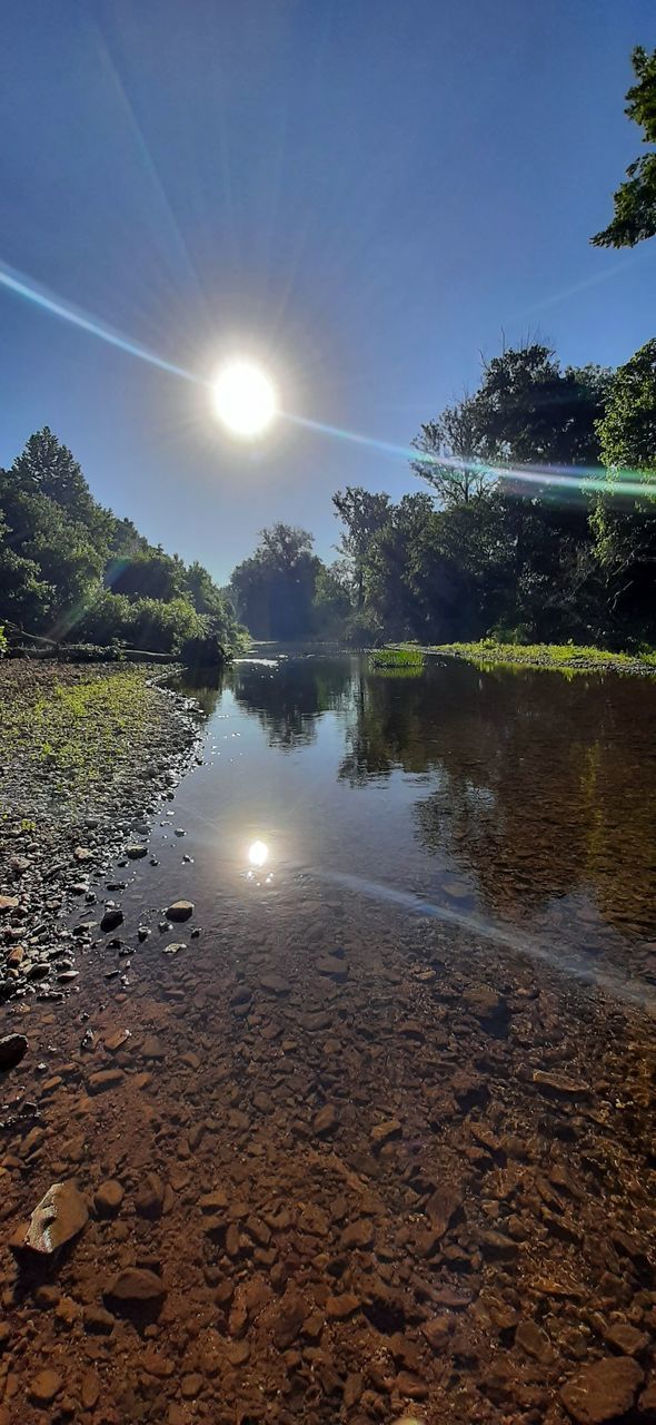 reflection, sky, water, sunlight, nature, tree, morning, plant, sun, beauty in nature, scenics - nature, tranquility, environment, land, no people, landscape, lake, light, tranquil scene, forest, outdoors, lens flare, sunbeam, dusk, body of water, non-urban scene, sunrise, cloud, blue