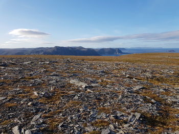 Scenic view of landscape against sky