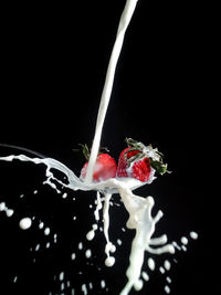 Close-up of red berries in water against black background