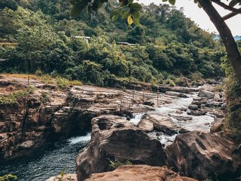 Scenic view of rocks in forest