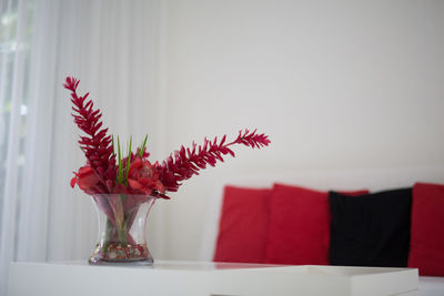 Close-up of red flowers