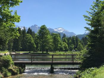 Scenic view of river in forest against clear sky