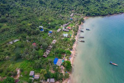 High angle view of trees on beach