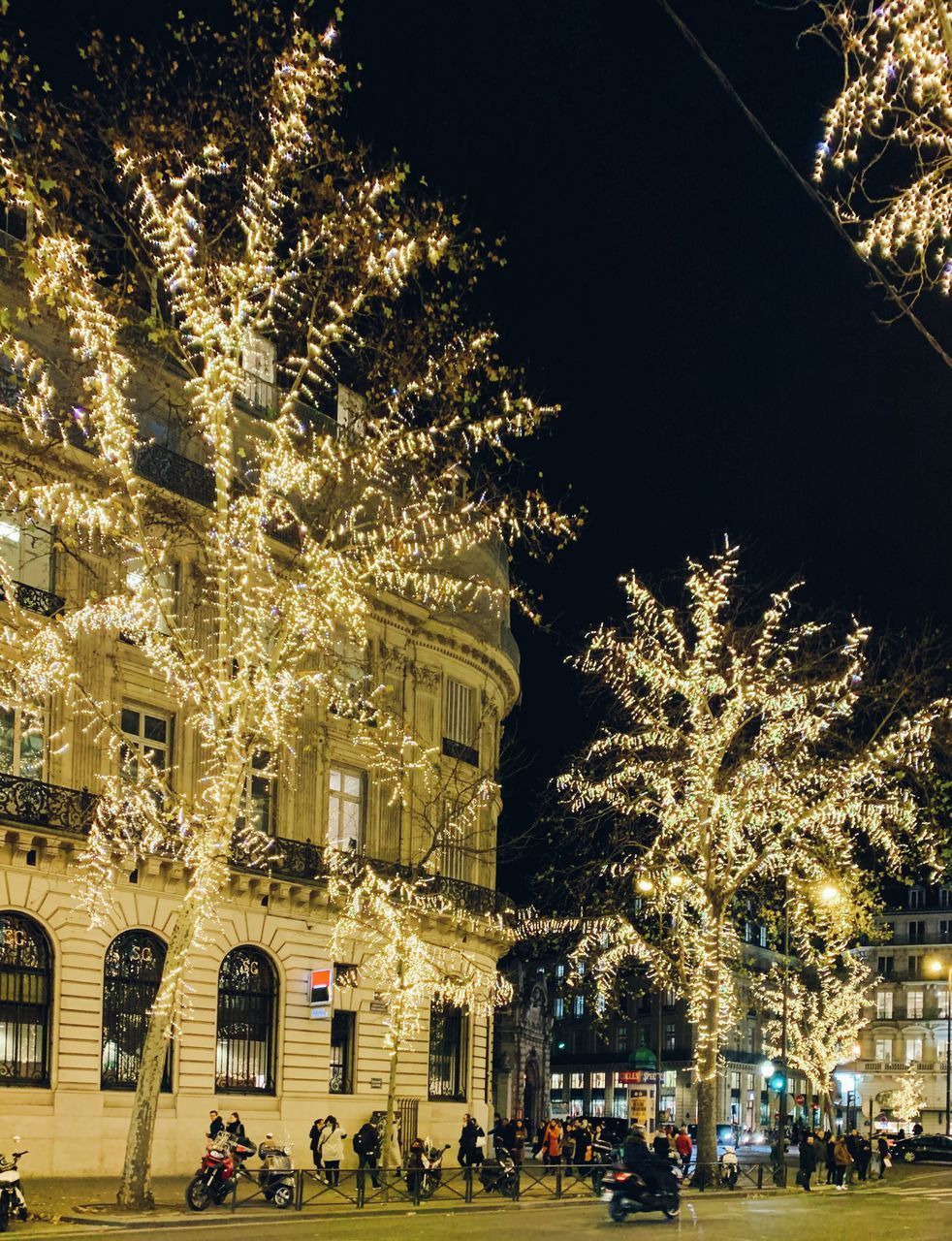 ILLUMINATED CHRISTMAS TREE BY BUILDINGS IN CITY