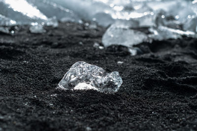 Close-up of ice on shore