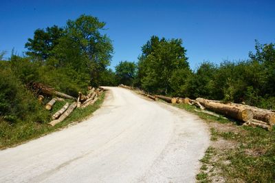 Road amidst trees against clear blue sky