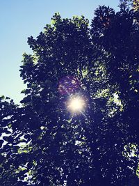 Low angle view of tree against sky