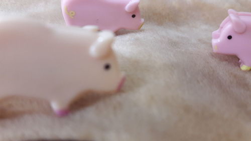 Close-up of pink toys