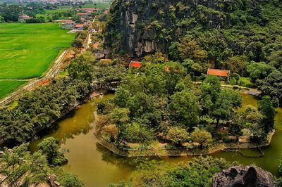 High angle view of plants by river