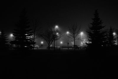 Illuminated street lights by silhouette trees against sky at night