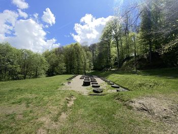 Scenic view of trees on field against sky