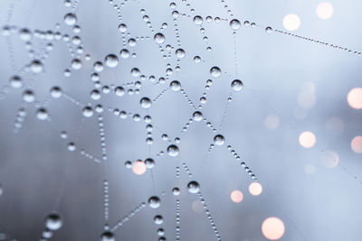 drop