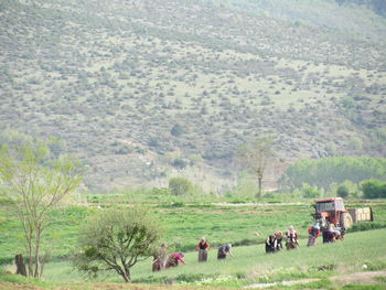 People sitting on field against mountain