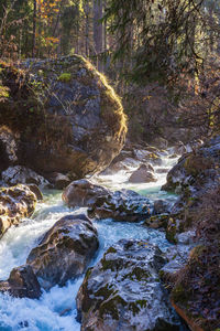 River flowing through rocks in forest