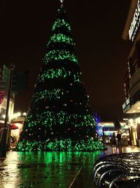 Illuminated christmas tree in city at night