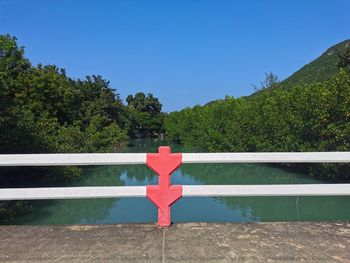 Red umbrella against trees and plants against clear blue sky