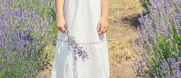 Midsection of woman standing by purple flowering plants on field
