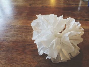 Close-up of white flowers